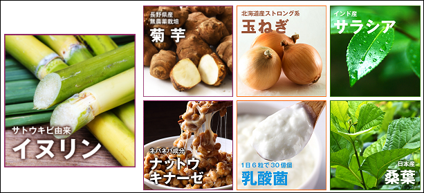 イヌリンプラスの成分