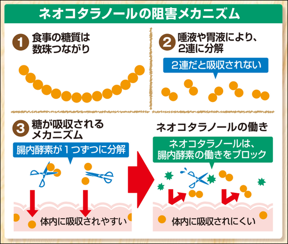 サラシア100の効果
