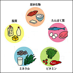 5大栄養素